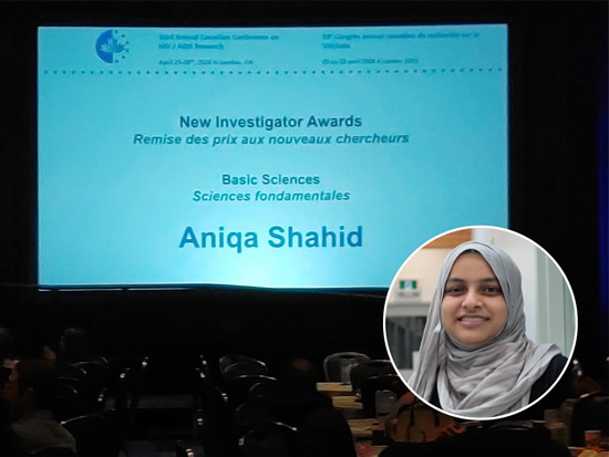 FHS PhD candidate Aniqa Shahid was named the top young HIV basic sciences researcher in Canada by the Canadian Association for HIV Research (CAHR) at their 33rd annual conference in London, ON