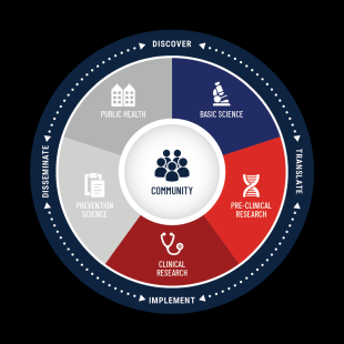 A wheel graphic. Around the outside of the wheeel, arrows point between the words Discover, Translate, Implement, and Disseminate. Inside the wheel are the words Basic Science, Pre-Clinical Reaserch, Clinical Research, Prevention Science, and Public Health. Commujnity is at the center of the wheel.