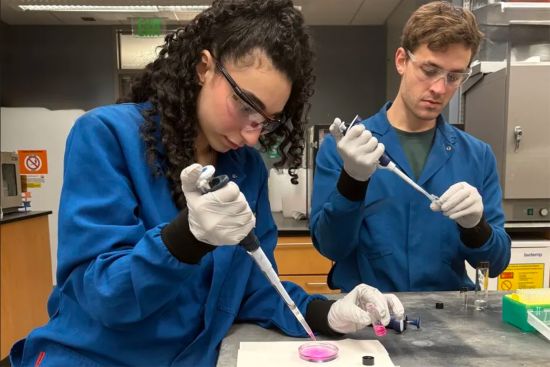 Image of the study co-workers Jennifer Hamad and Owen McAteer working in the lab.