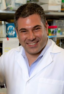 Omid Veiseh. (Credit: Jeff Fitlow/Rice University)