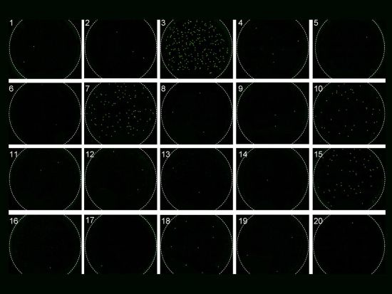 A grid of black circles with some displaying green dots